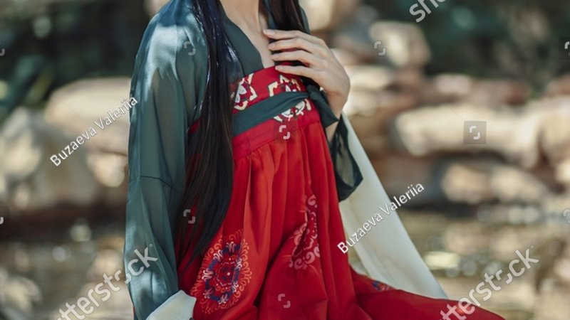 萌宠治愈系：猫咪日常